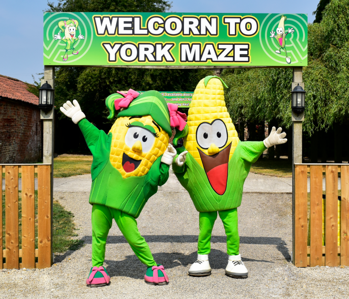 York Maze - Home