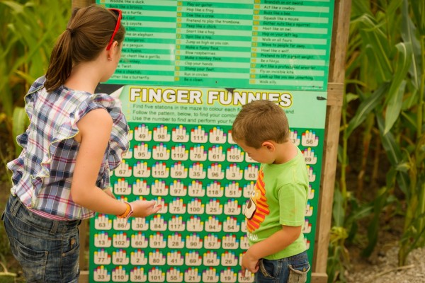 Finger Fortune 1