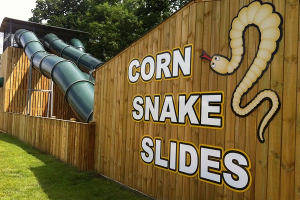 Cornsnake tower slides