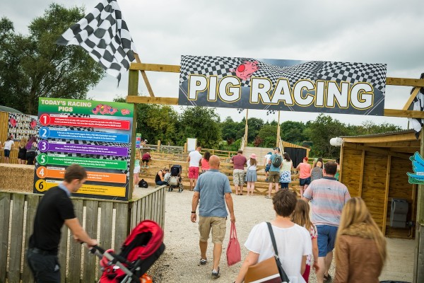 Pig Race entrance sign