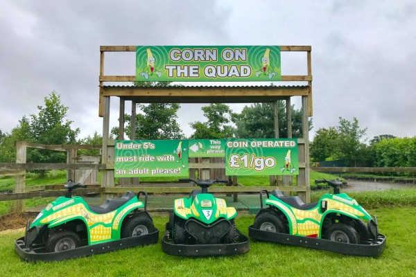 Corn on the Quad