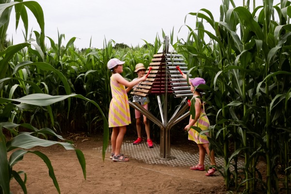 Musical Maze Xylaphone