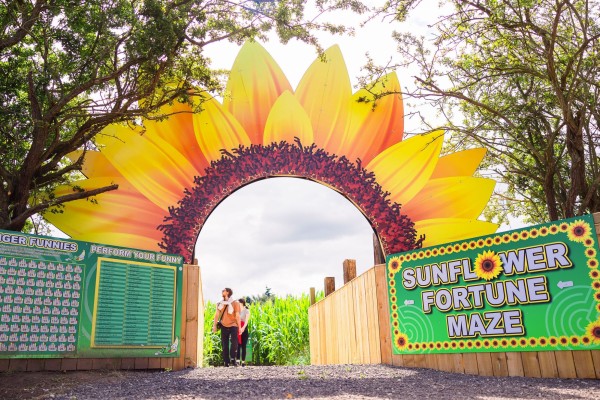 Sunflower Entrance