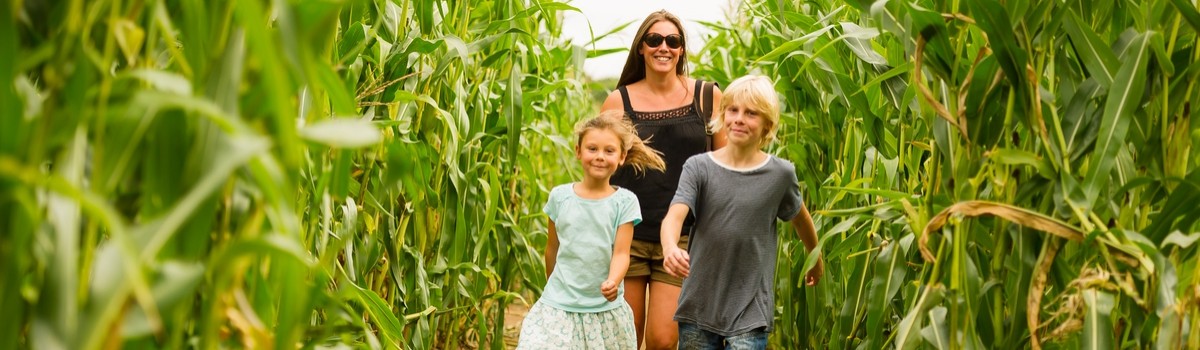 Maize Maze family landscape