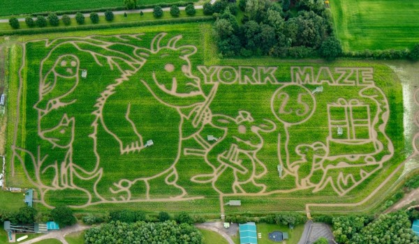 York Maze Aerial 2024 Gruffalo