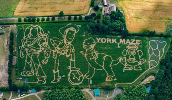 York Maze Aerial 2025 Toy Story