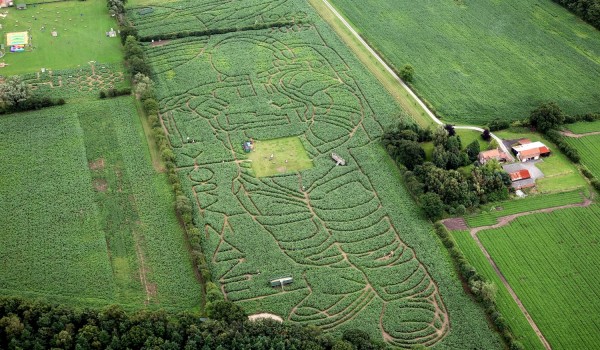 York Maze aerial 2009