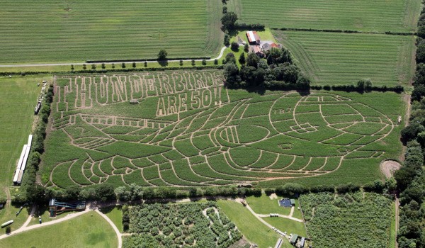 York Maze Thunderbirds aerial press