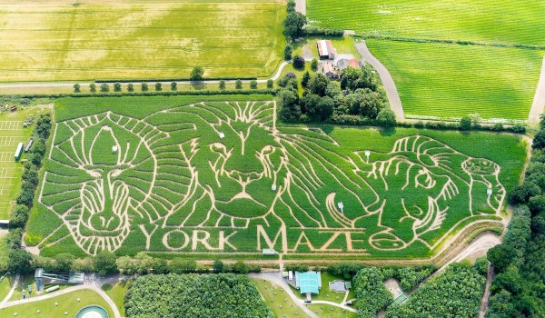 York Maze aerial photo 2019 press