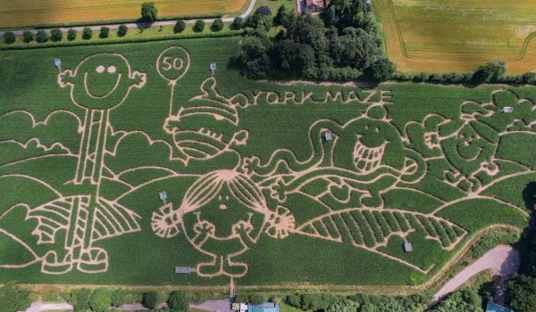 York Maze Mr Men 2021 aerial 