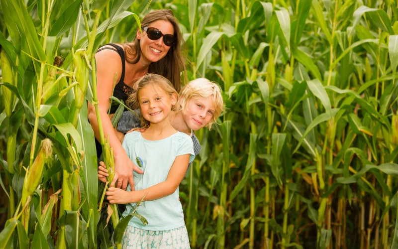 Giant Maize Maze 1