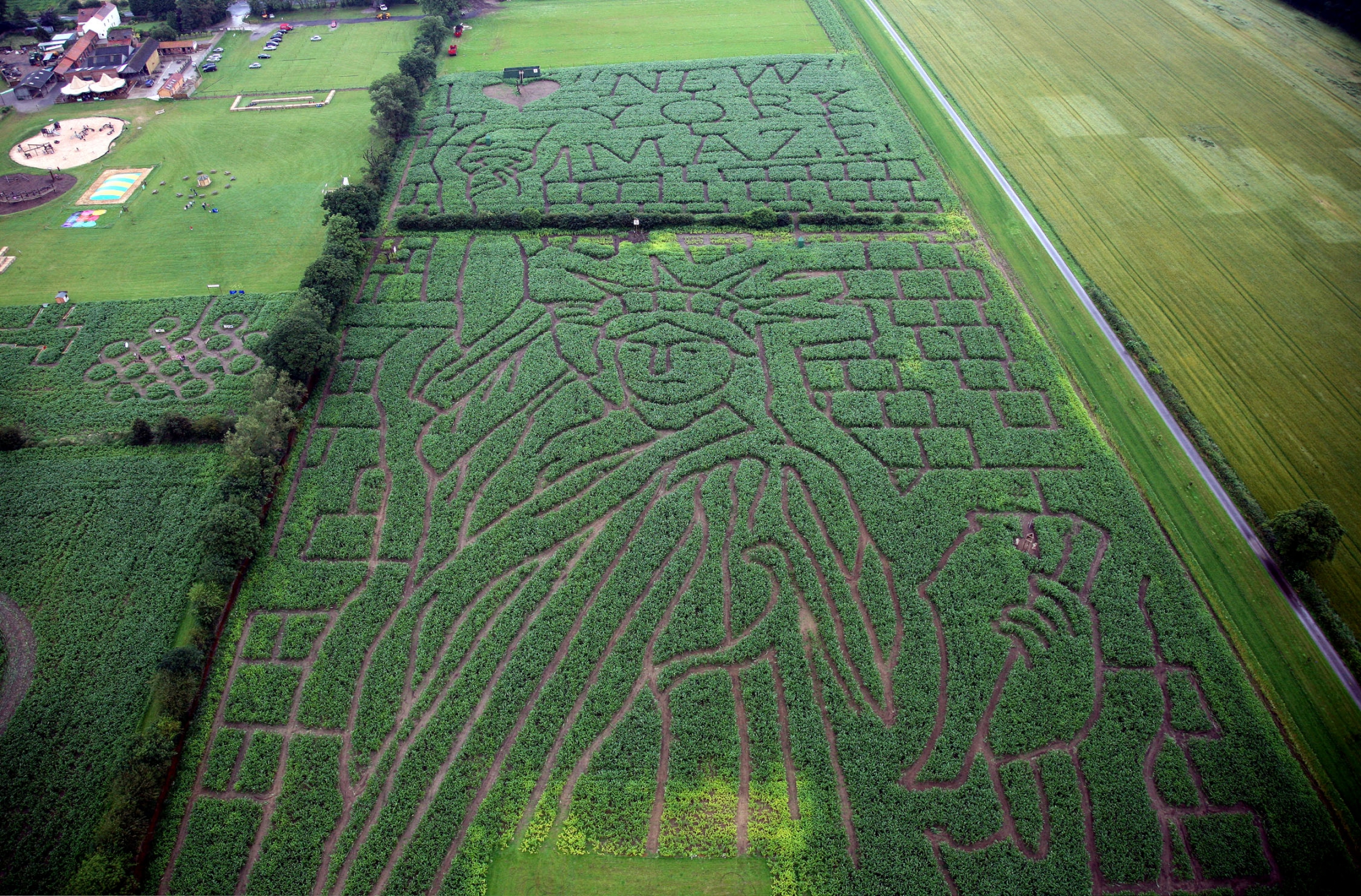 York Maze - Gallery