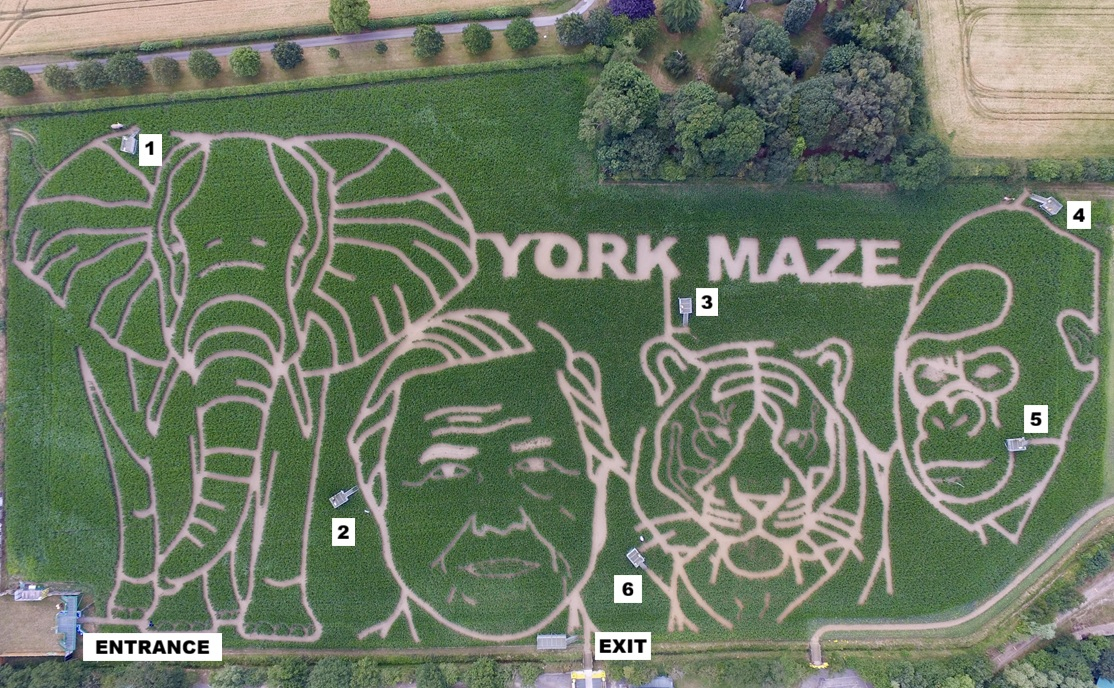 York Maze Aerial Image 2026 Platforms